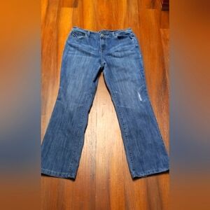 Baccini Jeans Womens  Size 12 Blue Straight Leg Mid Rise. Distressed.